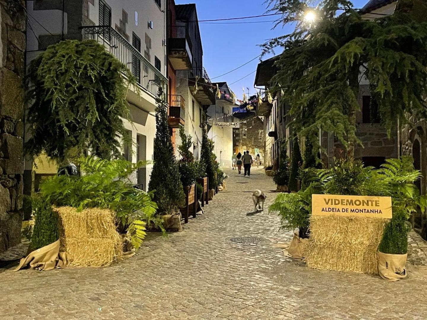 Casa De Xisto Ti Lucilia Villa Videmonte Kültér fotó